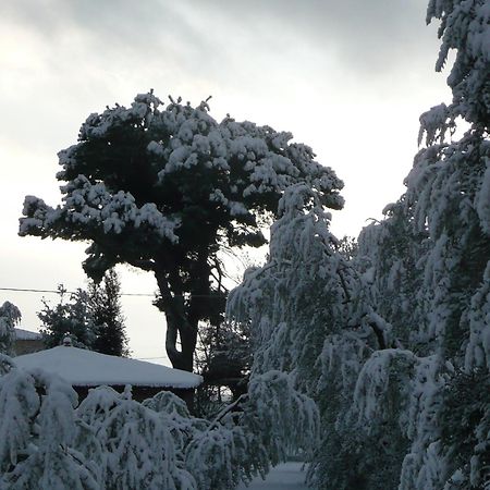 B&B Le Caselle Il Baraccotto Lucignano Esterno foto